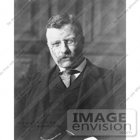 #7880 Picture of Theodore Roosevelt as Governor by JVPD