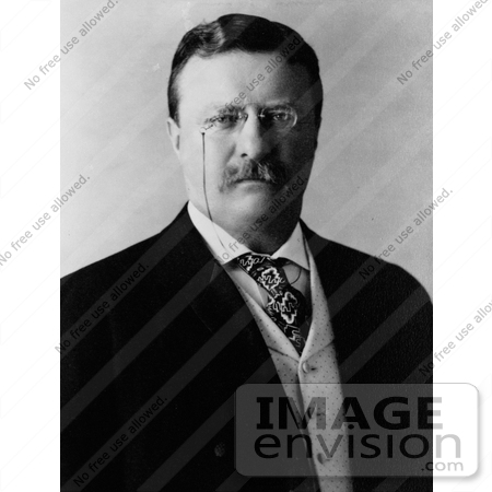 #7883 Picture of Theodore Roosevelt in 1904 by JVPD
