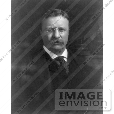 #7897 Picture of Theodore Roosevelt in 1905 by JVPD