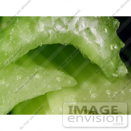 #79 Closeup Picture of Celery Stalk by Kenny Adams