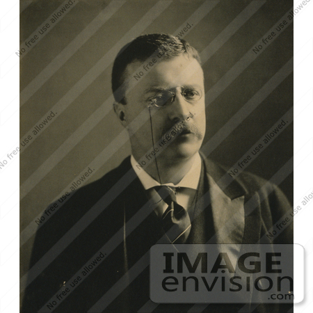 #7943 Picture of President Theodore Roosevelt by JVPD