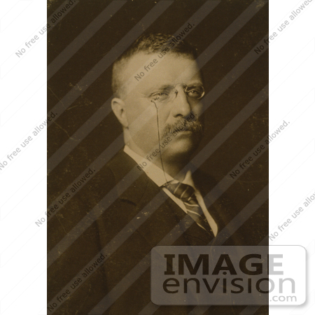 #7962 Picture of Theodore Roosevelt in 1900 by JVPD