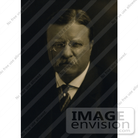 #7996 Picture of President Theodore Roosevelt by JVPD