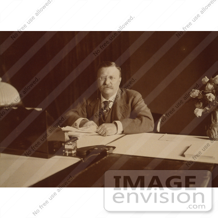 #8003 Picture of Theodore Roosevelt Sitting at Desk by JVPD