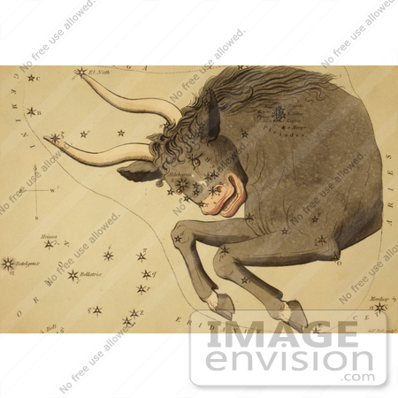 #8071 Picture of Taurus Constellation by JVPD