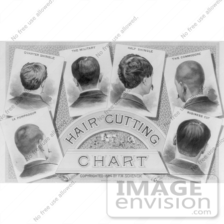 #8181 Picture of a Hair Cutting Chart by JVPD