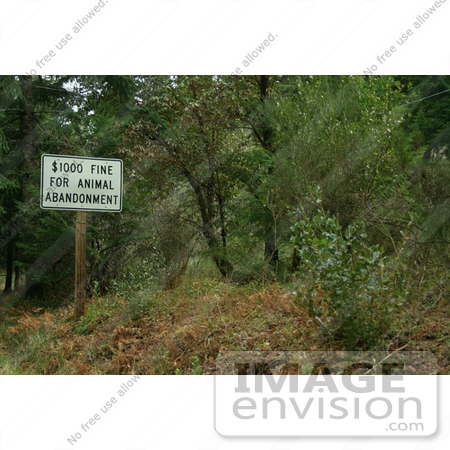 #820 Photography of a Pet Abandonment Sign in a Forest by Kenny Adams
