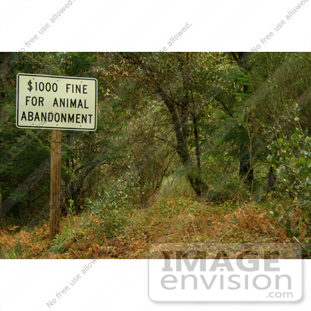 #821 Photography of an Animal Abandonment Warning Sign by Kenny Adams