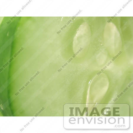 #87 Vegetable Food Picture of a Cucumber Slice by Kenny Adams