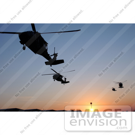 #8856 Picture of UH-60 Black Hawk Helicopters by JVPD