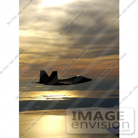 #8917 Picture of a F/A-22 Raptor by JVPD