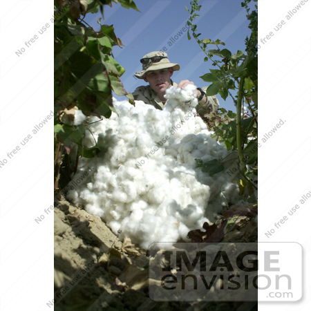 #8934 Picture of a Soldier With Cotton by JVPD
