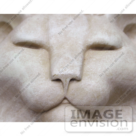 #90 Picture of a Cat Face Sculpture by Kenny Adams