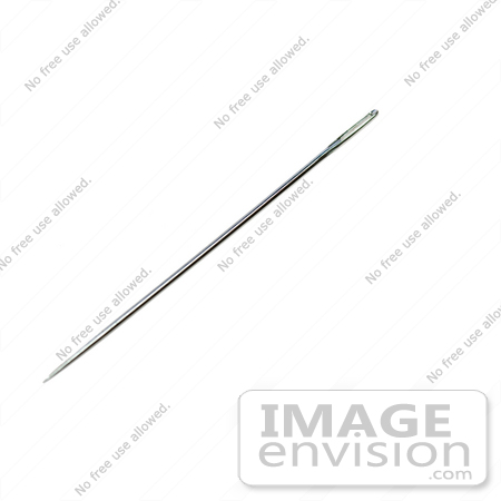#916 Photograph of a Sewing Needle by Jamie Voetsch
