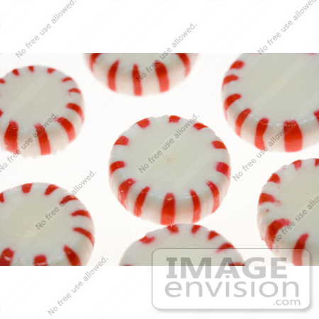 #925 Photograph of Peppermint Candies by Jamie Voetsch