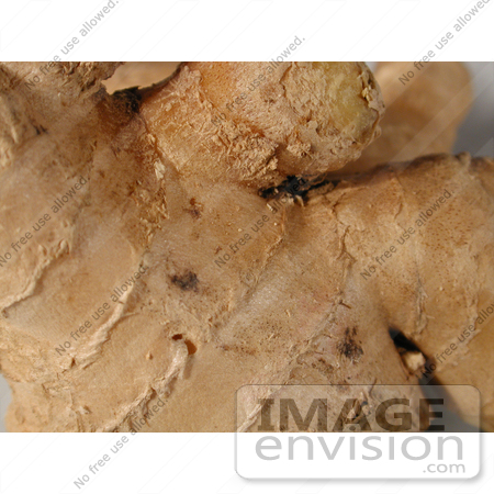 #93 Picture of Ginger Root Spice by Kenny Adams
