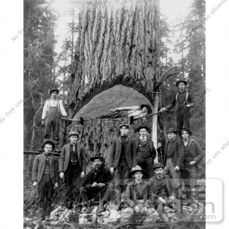 #9530 Picture of Lumberjacks by JVPD