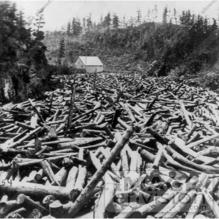 #9535 Picture of Logs on a River by JVPD