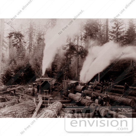 #9548 Picture of Thomas Lake Logging Camp by JVPD