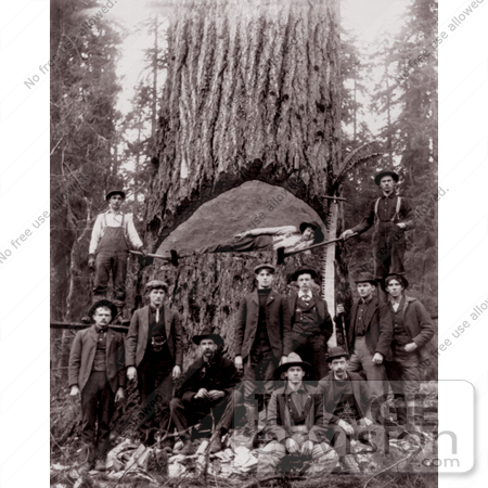 #9564 Picture of Lumberjacks by JVPD