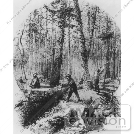 #9567 Picture of Lumberjacks at Work by JVPD