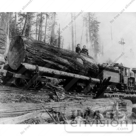 #9582 Picture of People and Log on a Logging Train by JVPD