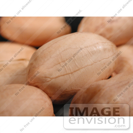 #97 Picture of Groundnuts by Kenny Adams