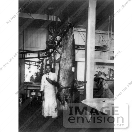 #9782 Picture of a Man With a Giant Swordfish by JVPD