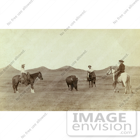 #9783 Picture of Cowboys Roping a Buffalo by JVPD