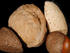 #102 Picture of a Brazil Nut, Walnut, Almond, and a Hazelnut by Kenny Adams