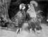 #10647 Picture of May Blayney and Maude Adams as Chickens in Chantecleer by JVPD