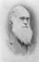 #10938 Picture of Darwin by JVPD