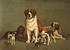 #11110 Stock Illustration of a Group Of Dogs; St Bernard, Hound, Mastiff, Bulldog, Jack Russell Terrier, A King Charles Spaniel And Two Other Little Dogs At The New England Kennel Club's Dog Show by JVPD