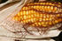 #1139 Picture of Yellow Corn on the Cob by Kenny Adams