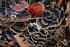 #1184 Photograph of Bracket Fungus Growing on a Tree Stump by Jamie Voetsch