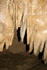 #12190 Picture of Oregon Caves by Jamie Voetsch