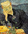 #13411 Picture of Van Gogh’s Painting of Dr Paul-Ferdinand Gachet by JVPD