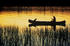 #15661 Picture of Person and Dog Canoeing Through Wetlands Under an Orange Sunset by JVPD