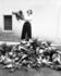 #16077 Picture of a Woman Near a Pile of Dead Game Birds by JVPD