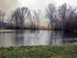 #16103 Picture of Canada Geese on a Pond Near a Prescribed Burn by JVPD