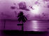 #16224 Picture of Palm Tree and Purple Sunset at Biscayne Bay, Miami, Florida by JVPD