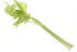#16944 Picture of a Leafy Green Celery Stalk on a White Background by JVPD