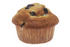 #16971 Picture of One Whole Blueberry Muffin Still in the Cupcake Liner by JVPD