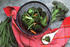 #17152 Picture of Shredded Carrots, Broccoli and Green Beans in a Collander by JVPD