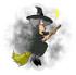 #17258 Gray Haired Female Halloween Witch Flying on Her Broom Stick in a Night Sky by a crescent Moon Clipart by DJArt