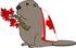 #17459 Beaver With Maple Leaves on a Branch and Wearing a Canadian Flag Clipart by DJArt