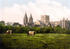 #17782 Photo of Cows Grazing Near Southwell Minster and cathedral, Southwell, Nottinghamshire, England by JVPD