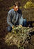 #17863 Photo of a Pinto Bean Farmer Man by JVPD