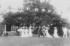 #21444 Stock Photography of Alice Roosevelt Longworth and Royal Princesses at a Garden Party, 1905 by JVPD