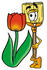 #22667 Clip Art Graphic of a Straw Broom Cartoon Character With a Red Tulip Flower in the Spring by toons4biz
